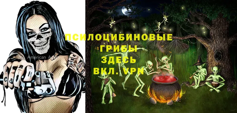 где найти   blacksprut ссылка  Псилоцибиновые грибы MAGIC MUSHROOMS  Каменногорск 